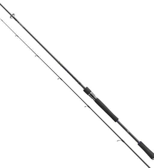 Спінінг Daiwa Prorex XR 2020 Spin 2.40m 30-70gr