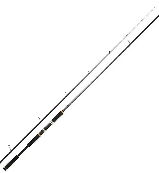 Спінінг Daiwa Legalis Seabass 2.9m 12-42g