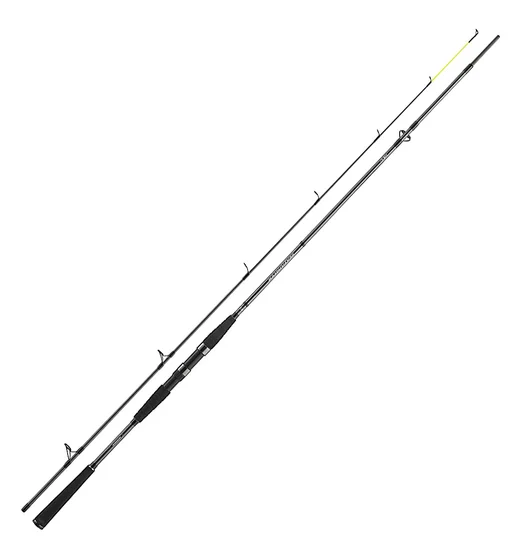 Спінінг Daiwa Seahunter X 2.70m 30-60g