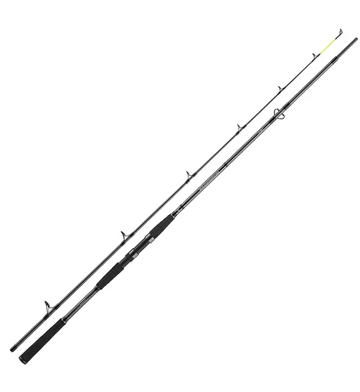 Спінінг Daiwa Seahunter X 2.60m 60-180g