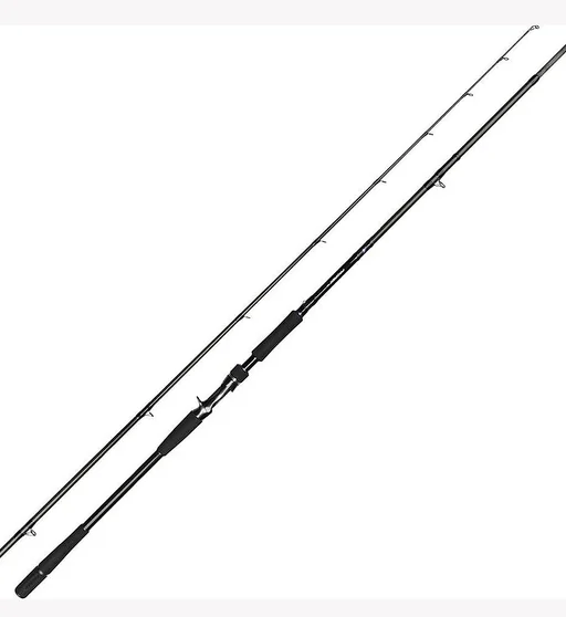 Спиннинг Daiwa Prorex AGS Spin Lazy Pike 8' 2.44m 40-120g