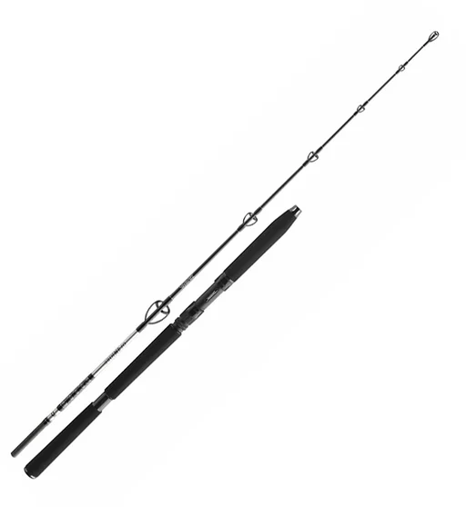 Спінінг Daiwa BG Jigger 1.70m 150-400g