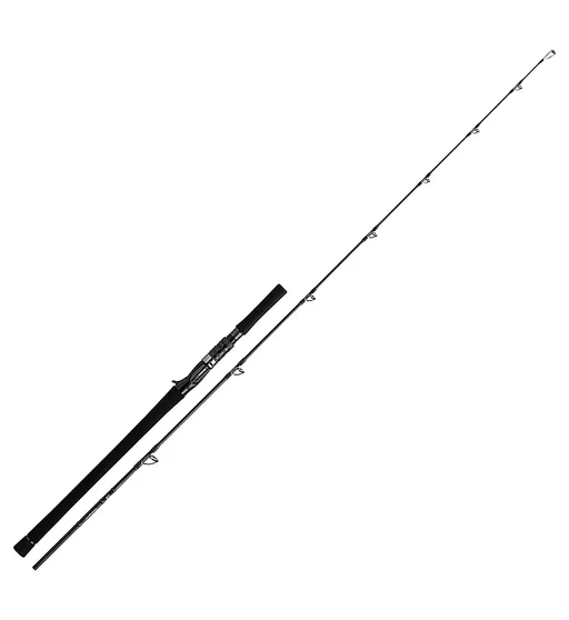 Спінінг кастінг. Daiwa Neostage DG J60B-4 1.83m 160-350g