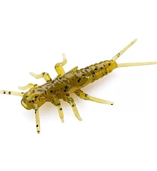 Силікон FishUp Stonefly 0.75" 12pc #074 - Green Pumpkin Seed
